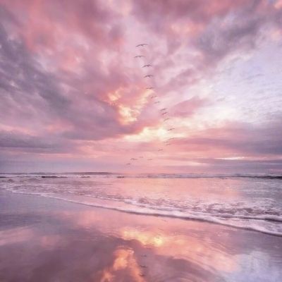 AG官方登陆入口