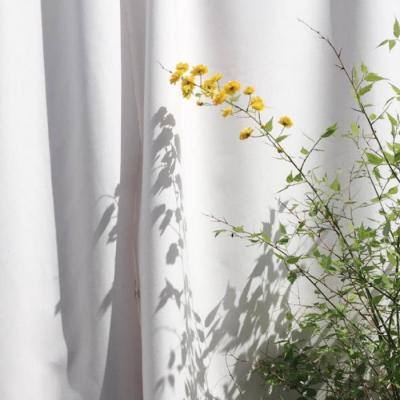 万博全站(Manbetx)